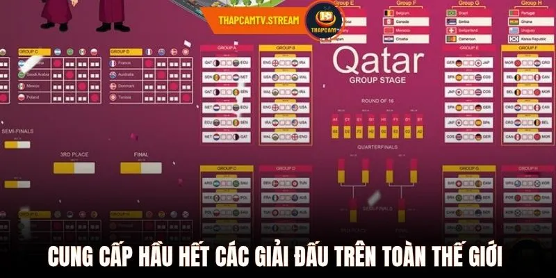 Cung cấp hầu hết các giải đấu trên toàn thế giới