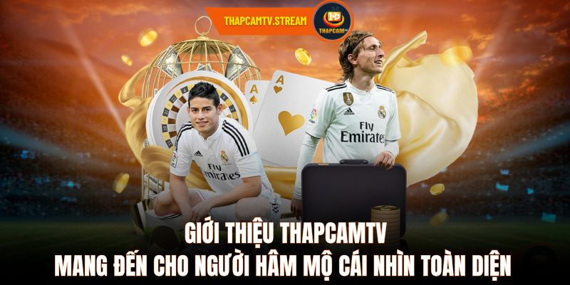Giới Thiệu ThapcamTV mang đến cho người hâm mộ cái nhìn toàn diện