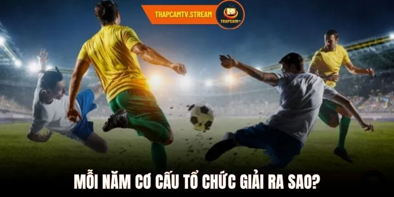 Mỗi năm cơ cấu tổ chức giải ra sao?