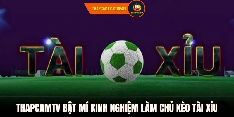 ThapcamTV bật mí kinh nghiệm làm chủ kèo tài xỉu